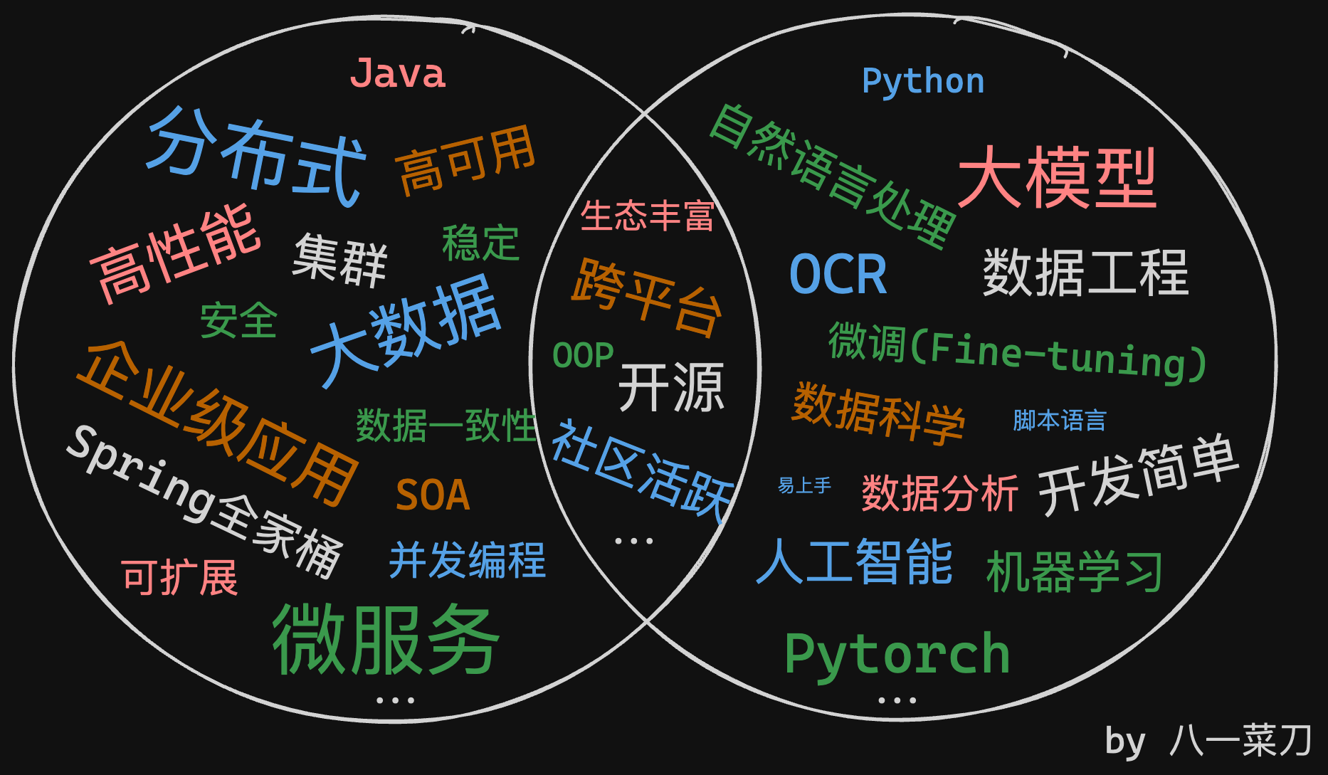 图5-编程语言选择